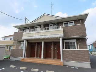 プラシードCの画像