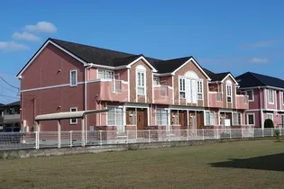 プレーヌ グラシューの画像