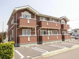 プラシードの画像