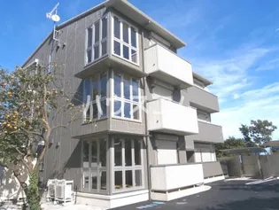 パーシモンの画像