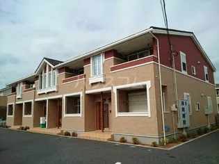 サンムーン ゴールドスター 3の画像