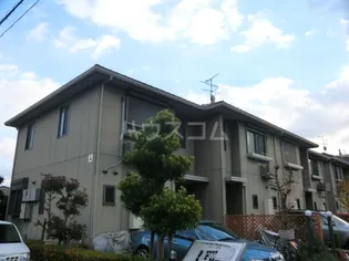 ホフケ羽衣の画像