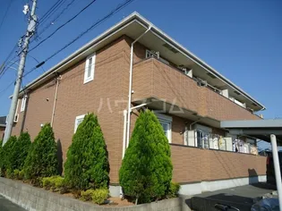 リベーラAの画像