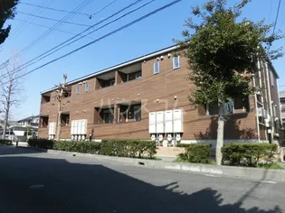 ヴァン フォルスの画像