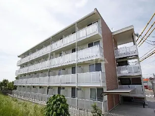 レオパレスHANANAKA【203号室】の外観