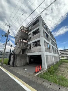 松山サザンクロスの画像