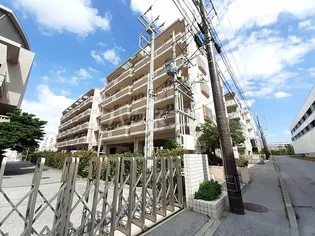 ドリームブライト 21の画像