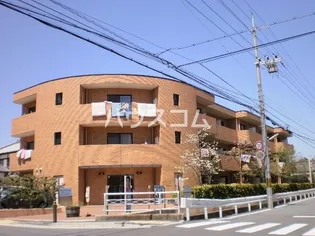 ホルティ コルヌスの画像