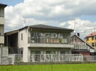 シェリーカラーの画像