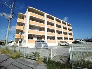 ピュア フォレストの画像