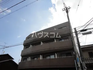 レヴァン朝日の画像