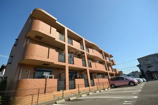 メープルリーフの画像