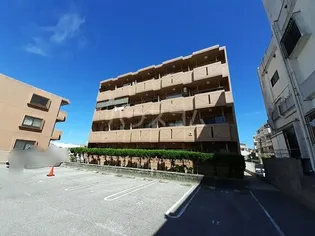 ボニートの画像