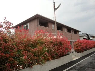 ベルリード三継の画像