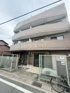 レヴァン朝日の画像