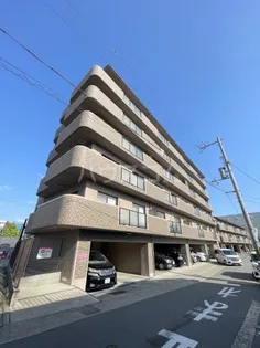 ヴェルドミールの画像