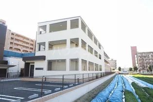 ハルミモザの画像