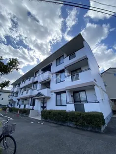 マンション角屋の画像