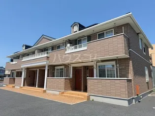 ピュア ライズの画像