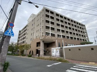 エル カーサーの画像