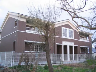 プリムローズの画像