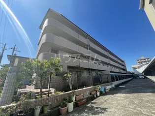 ウィステリアの画像