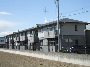 デイスターSの画像