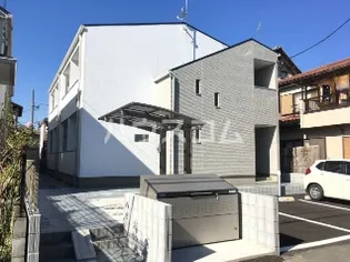 アカンサスの画像