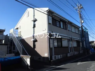 パフィオニッシンの画像