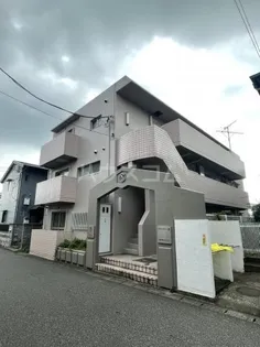 マウンテン 宮の画像