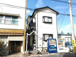 ホワイトプラム1の画像