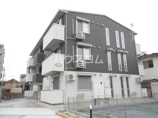 プラシードの画像