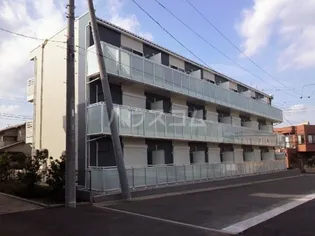 パタータの画像