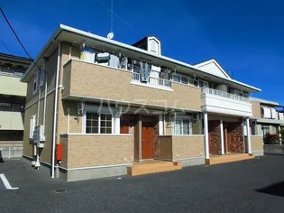 ピュア ライズの画像