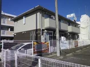 グロリアの画像