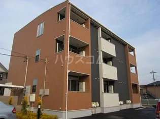 ハイツネゴシの画像