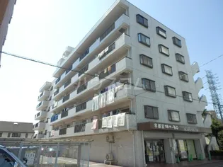 アビタシオン 東宿郷の画像