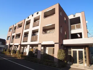 ジョリー柏の画像