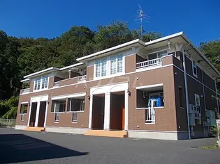 グリシーナの画像