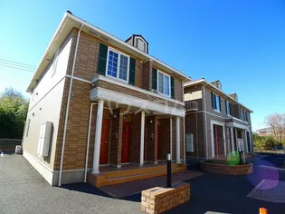 カノープスAの画像