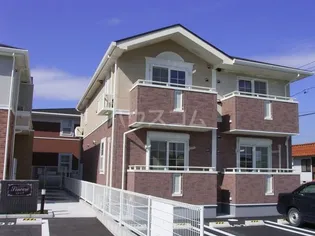 シンシアの画像