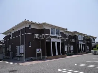 プリムラプレッソの画像
