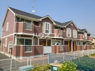 シャルムの画像