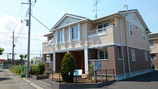 コモディダCの画像