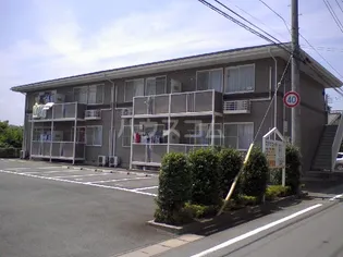 ステラコートの画像