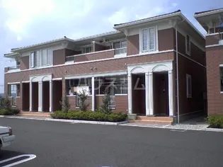 サンフラワーAの画像