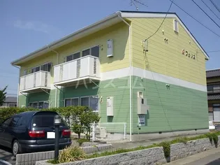 フェリスの画像