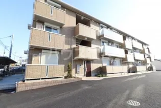 コモドTENの画像