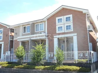 ピノ ノワールIIの画像