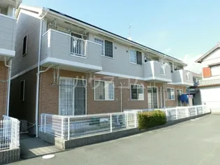 ドルフ サンフラワー IIの画像